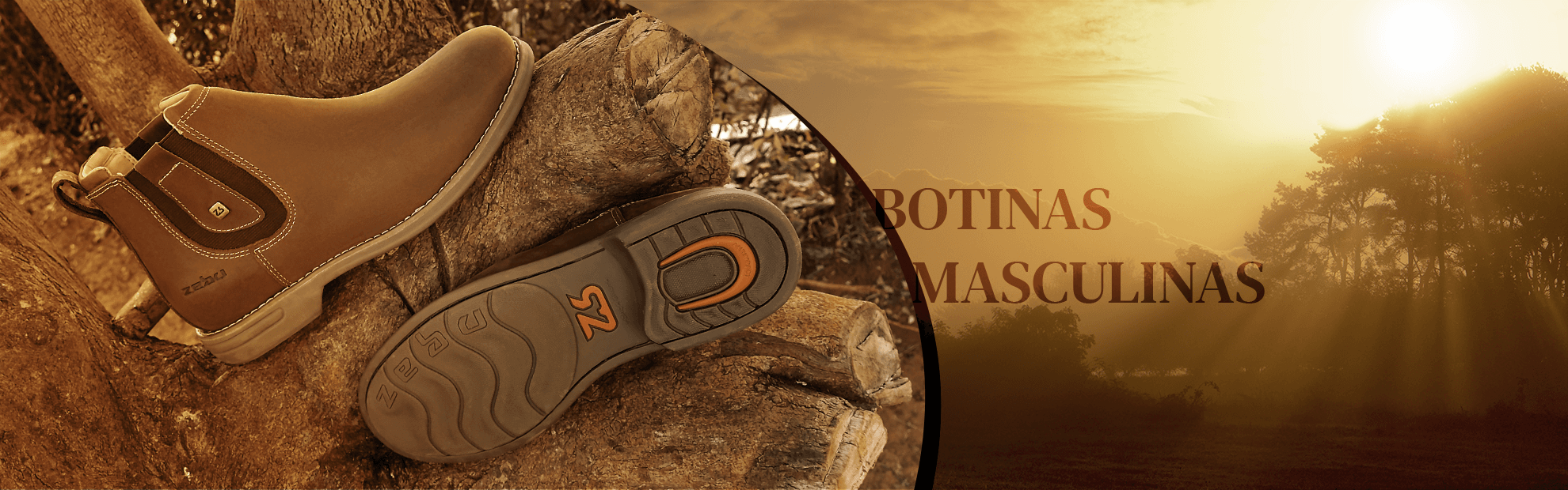 Descrição da imagem