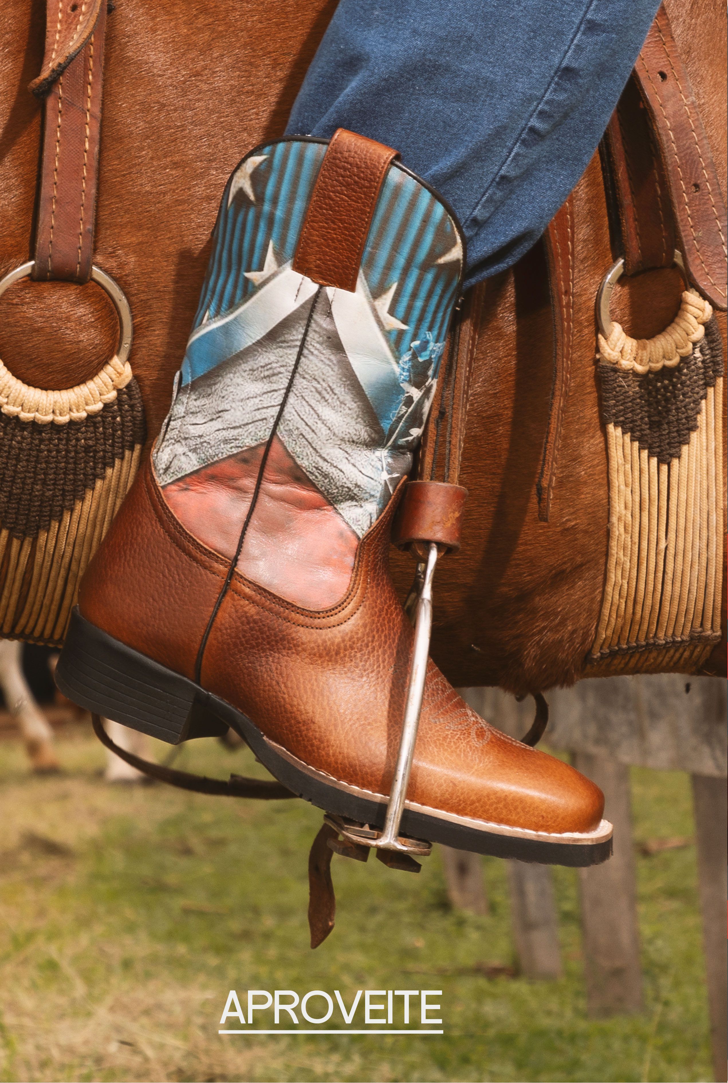 Descrição da imagem