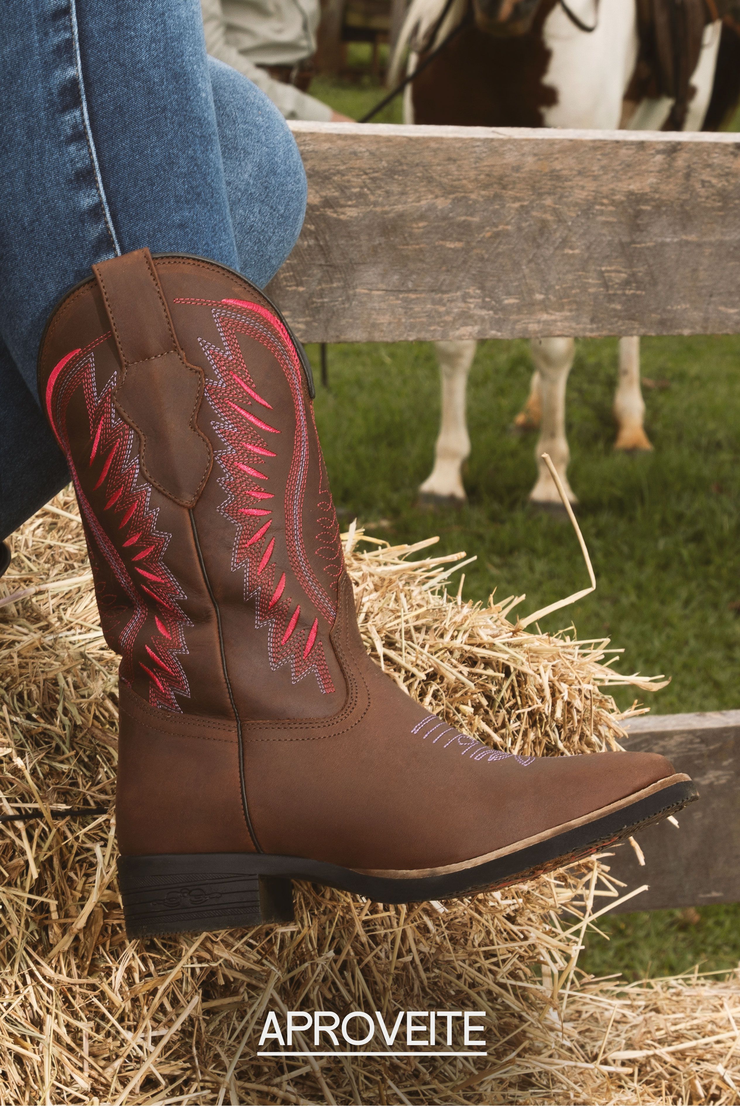 Descrição da imagem