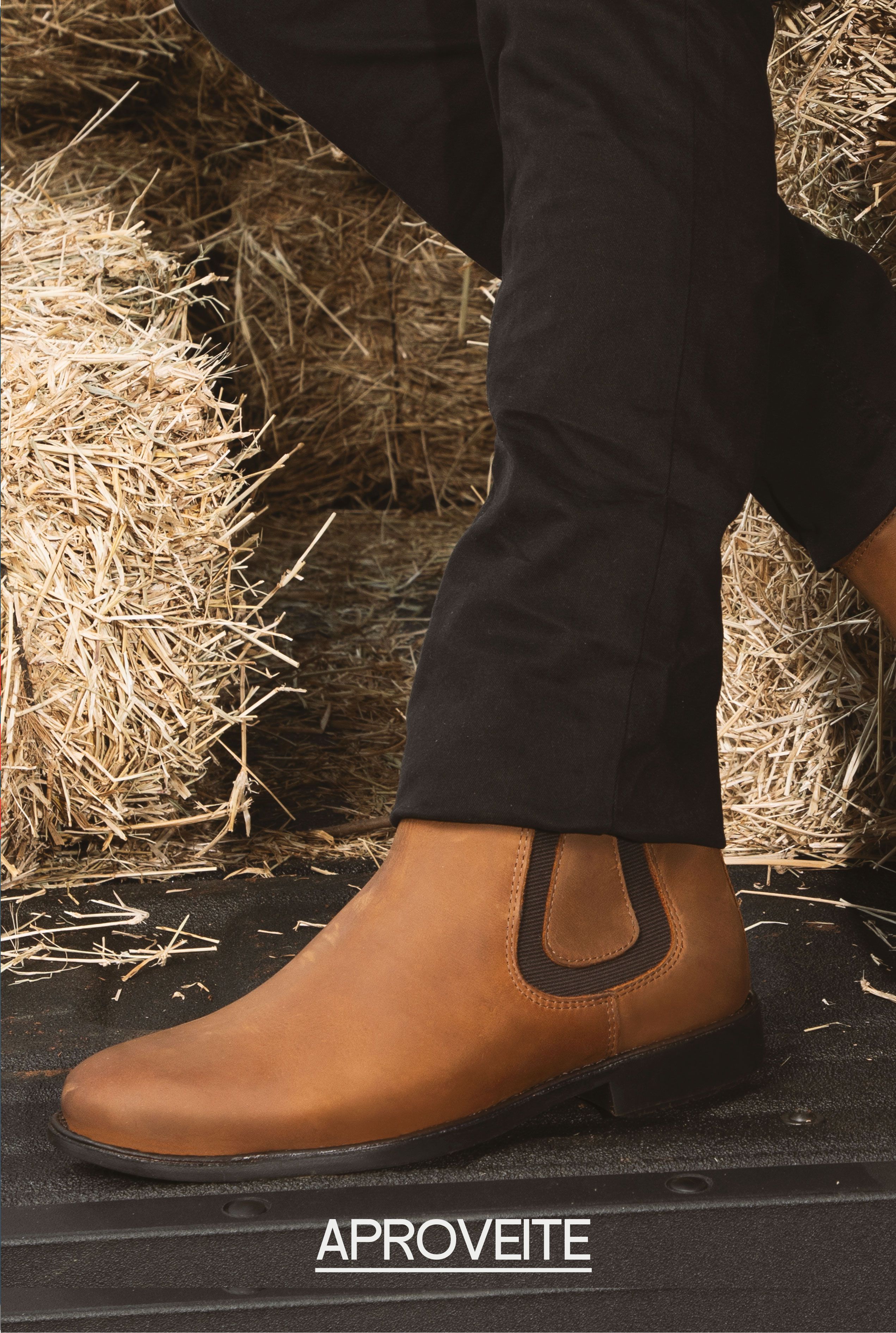 Descrição da imagem