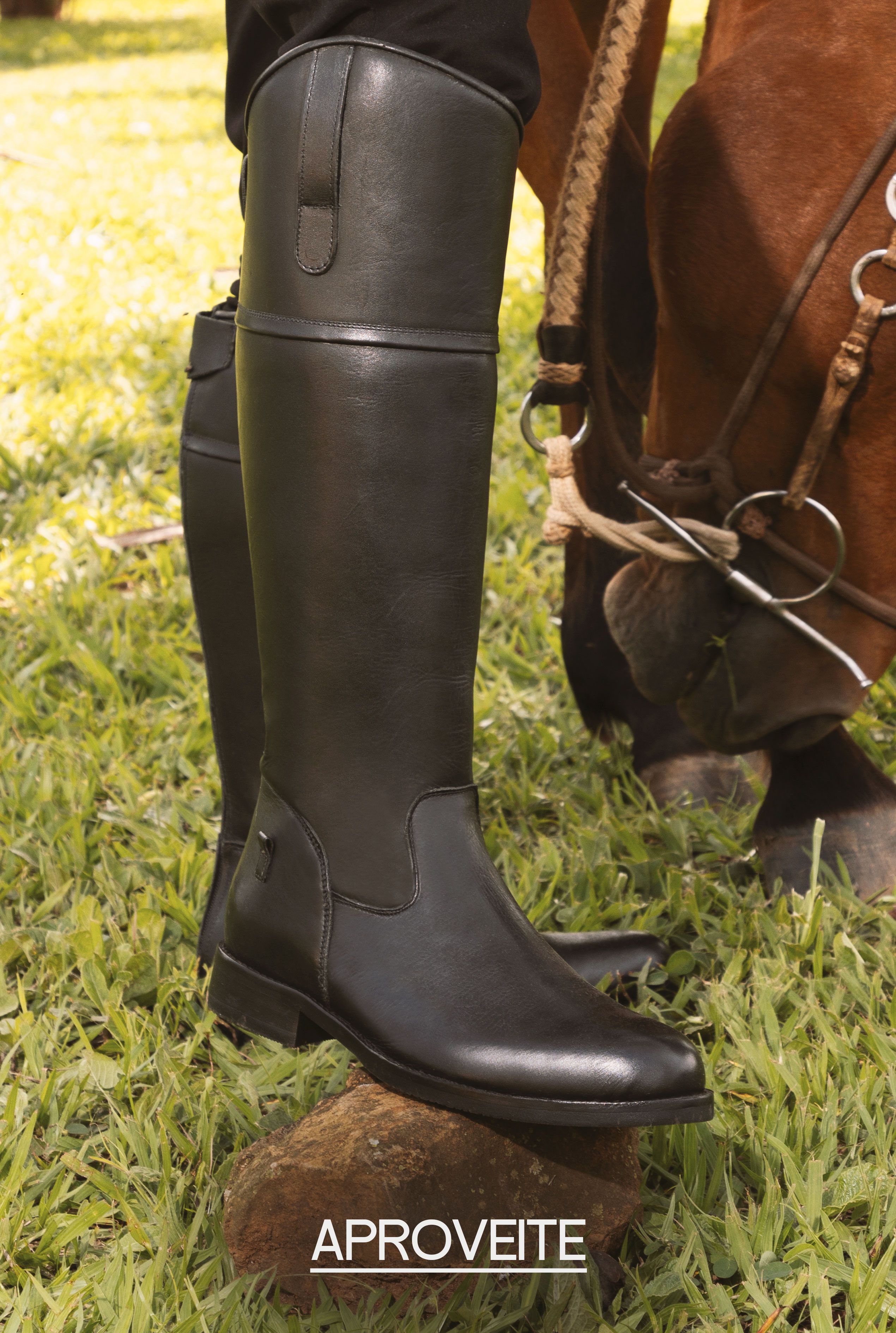 Descrição da imagem