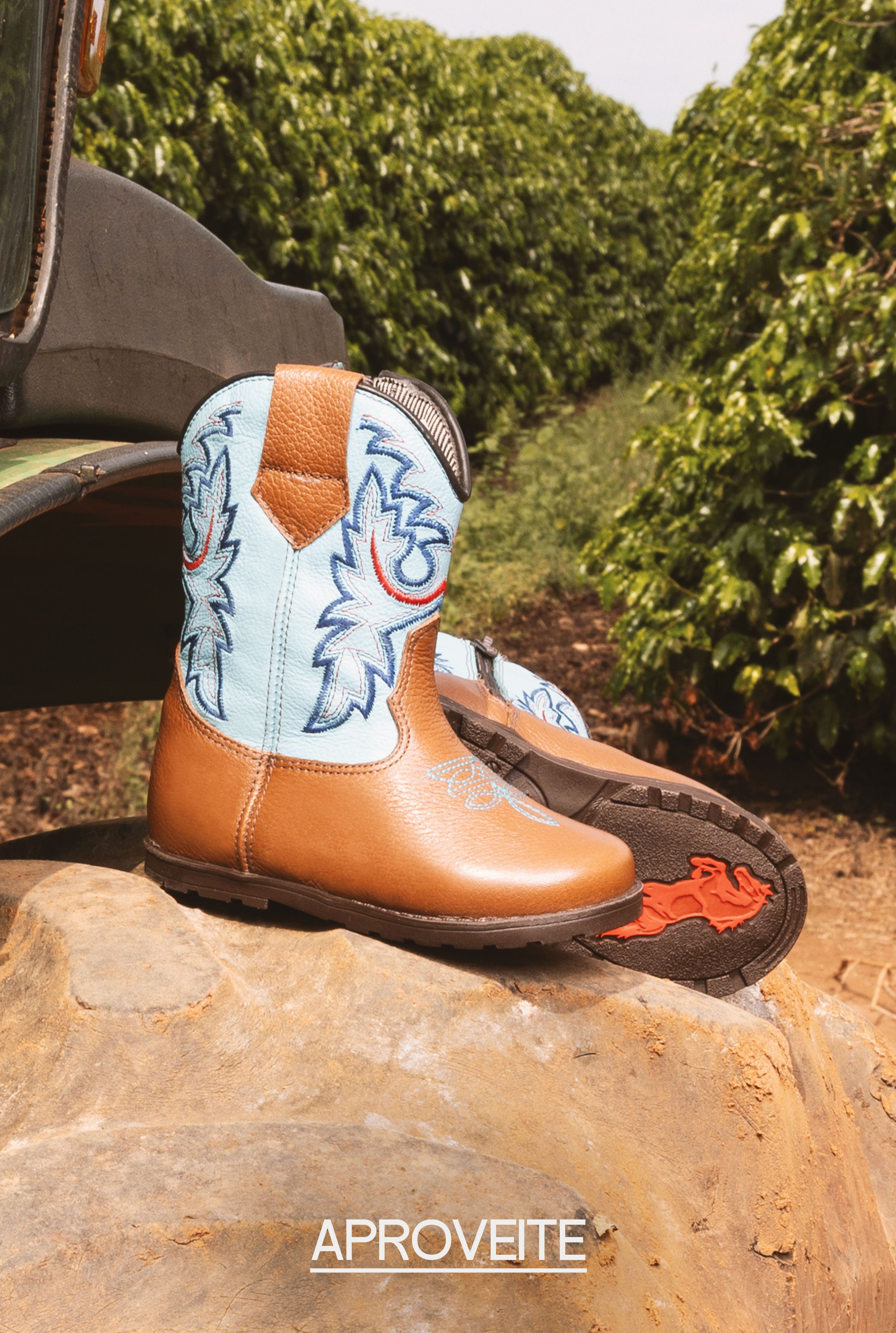 Descrição da imagem