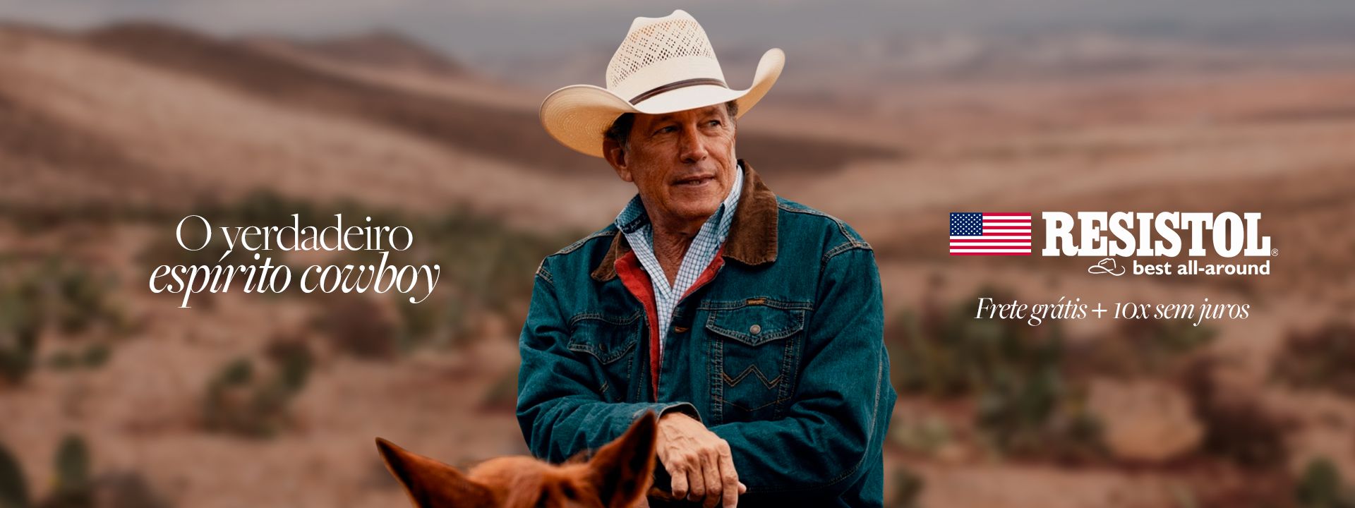 Descrição da imagem