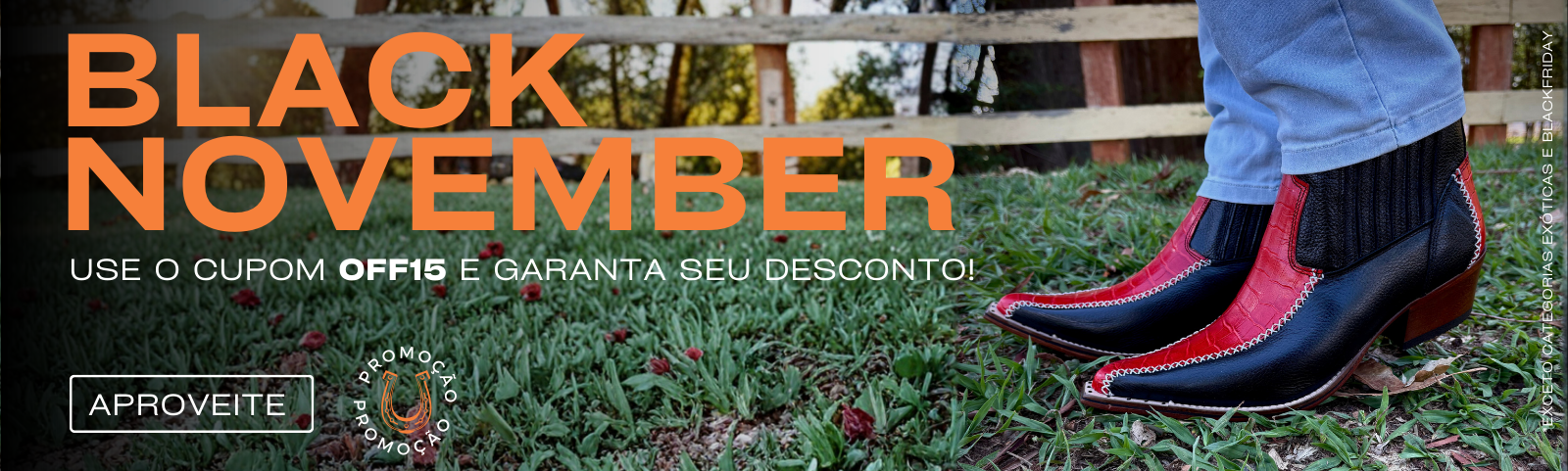 Descrição da imagem