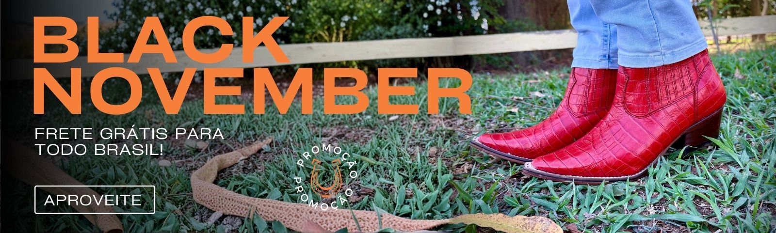 Descrição da imagem