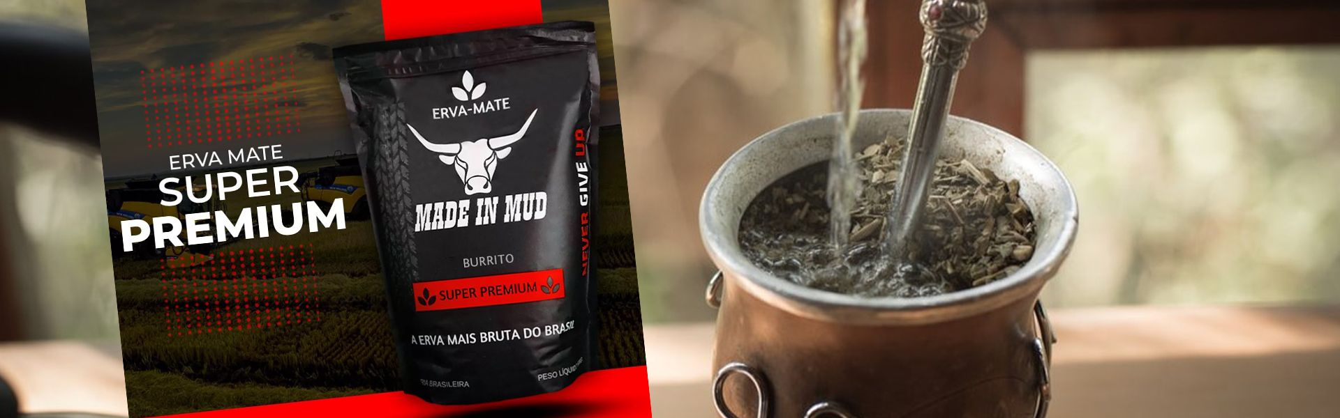 Descrição da imagem