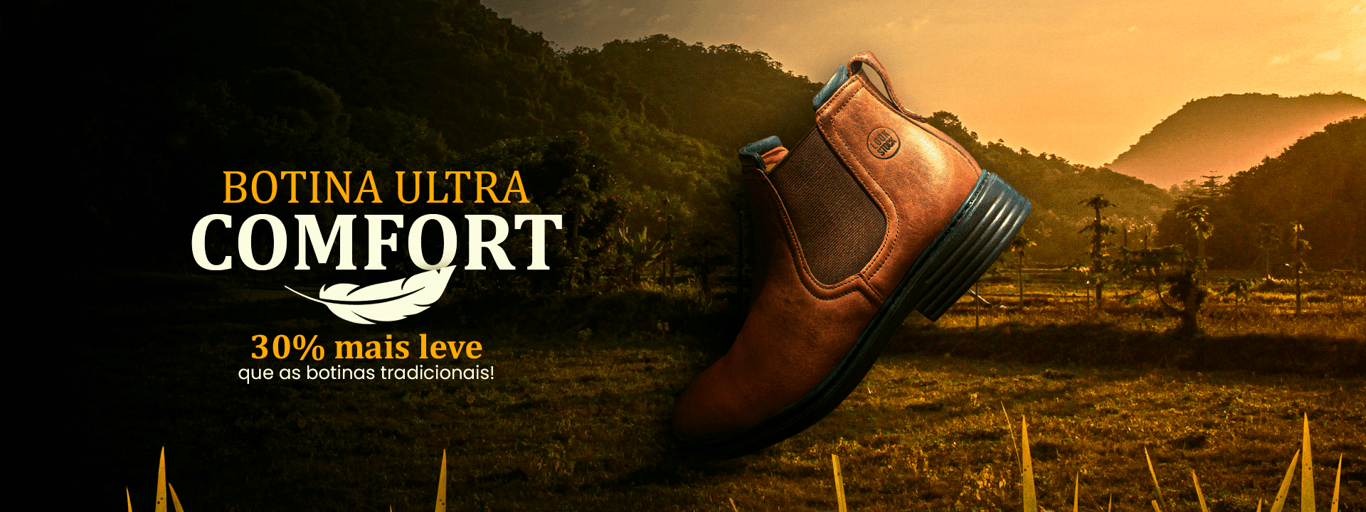 Descrição da imagem