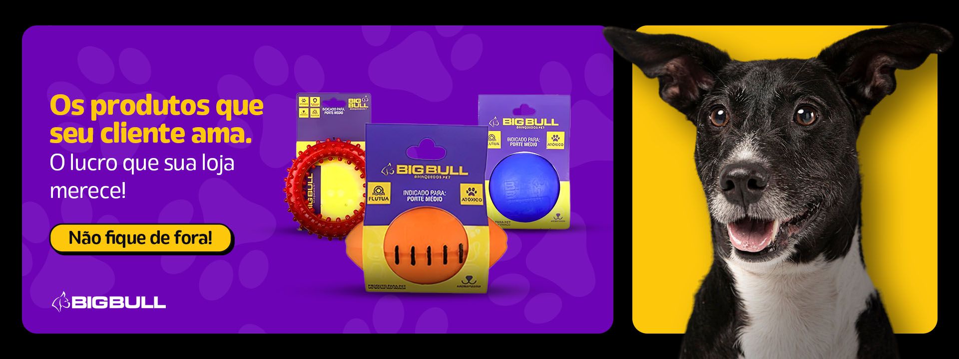 Descrição da imagem