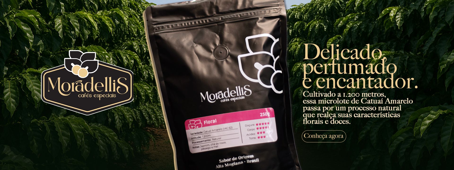 Descrição da imagem