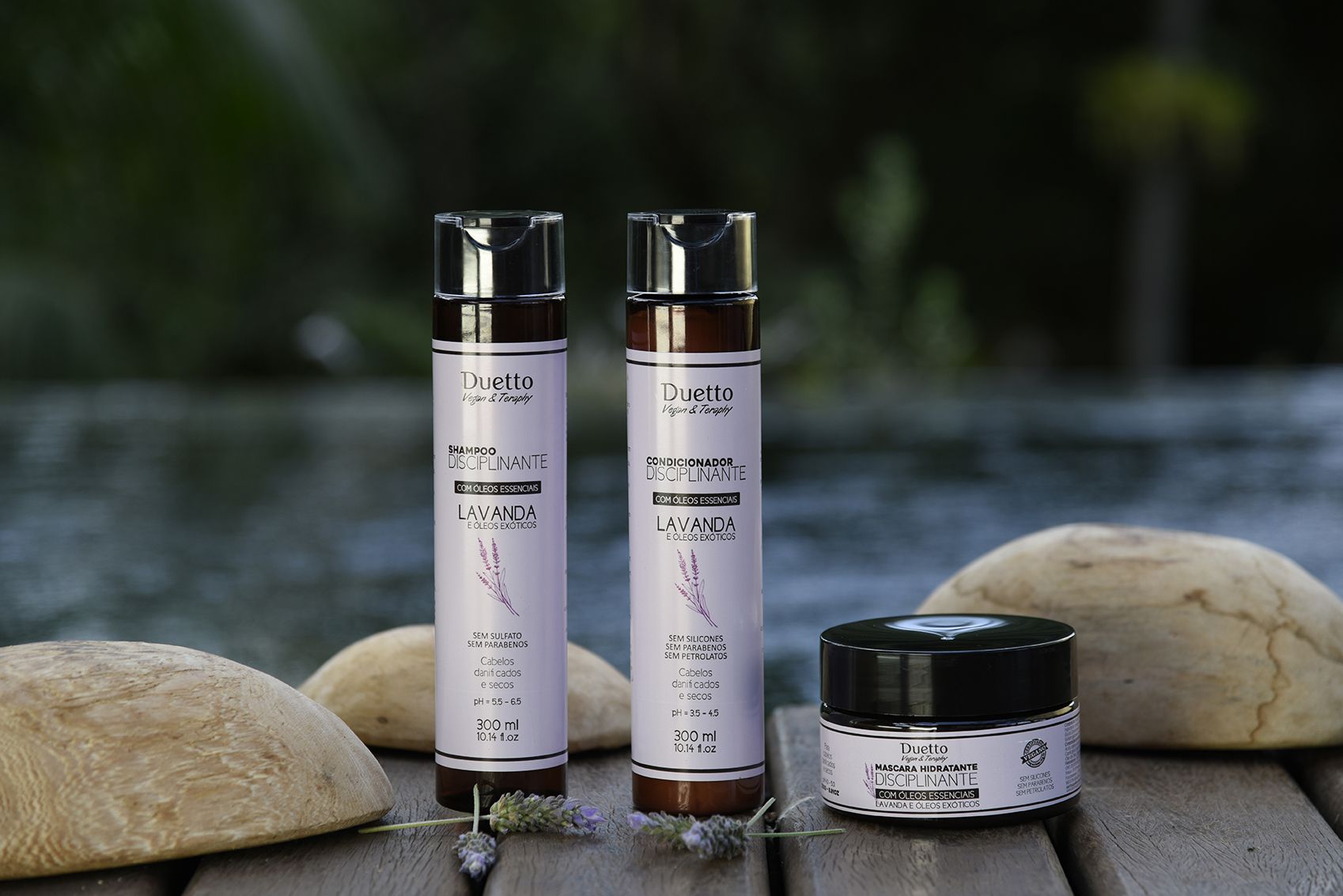 Descrição da imagem