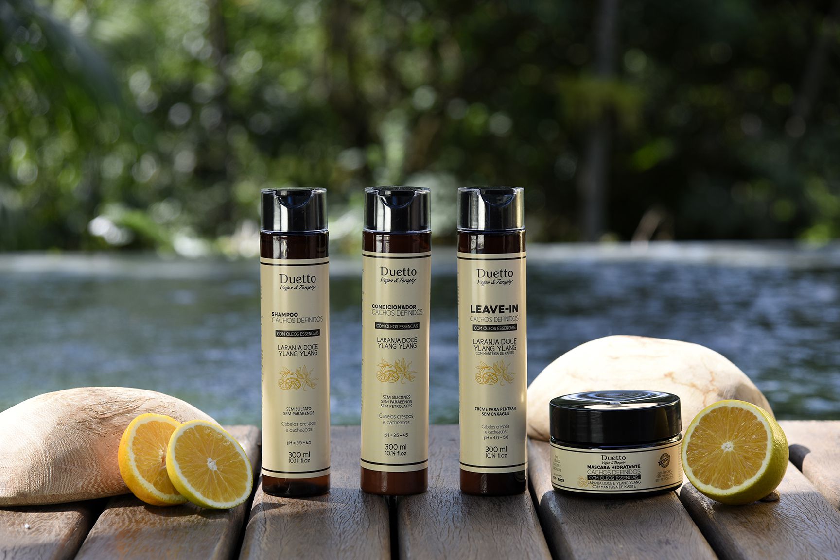 Descrição da imagem