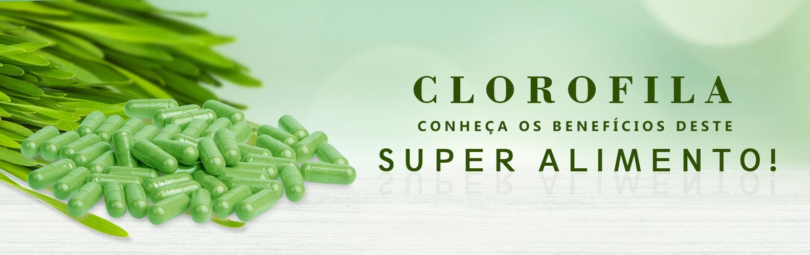 Clorofila