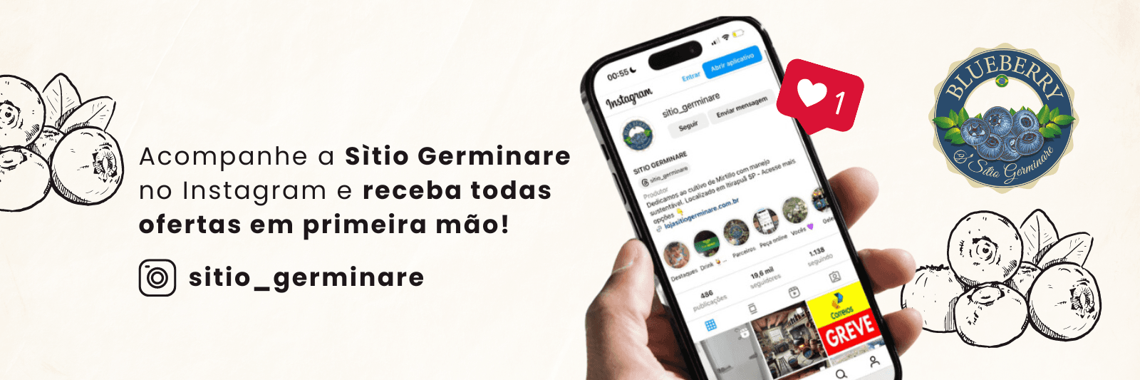 Descrição da imagem