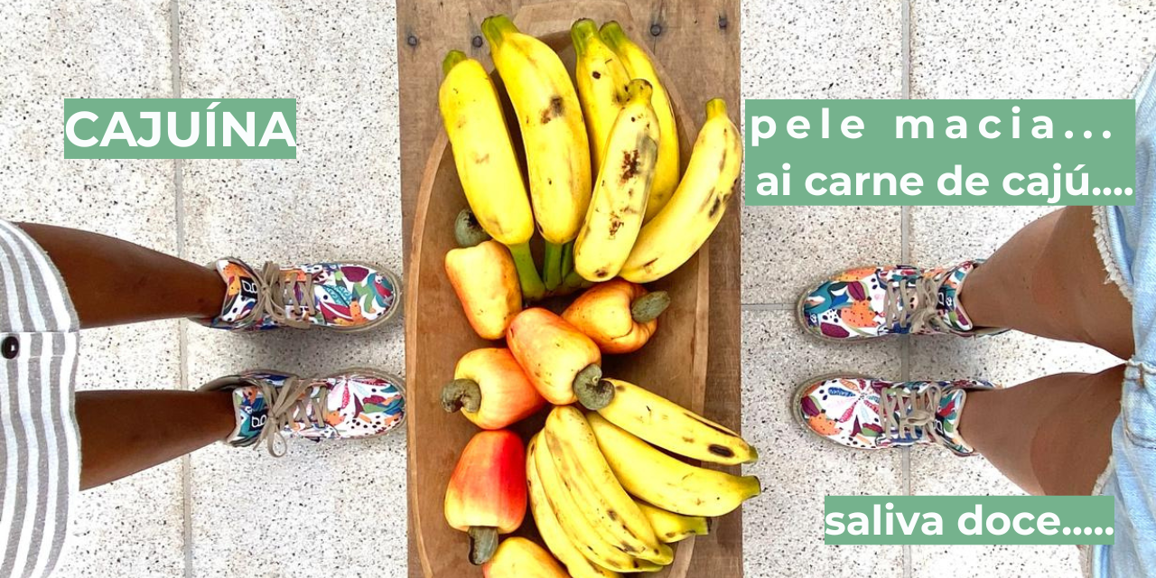 Descrição da imagem