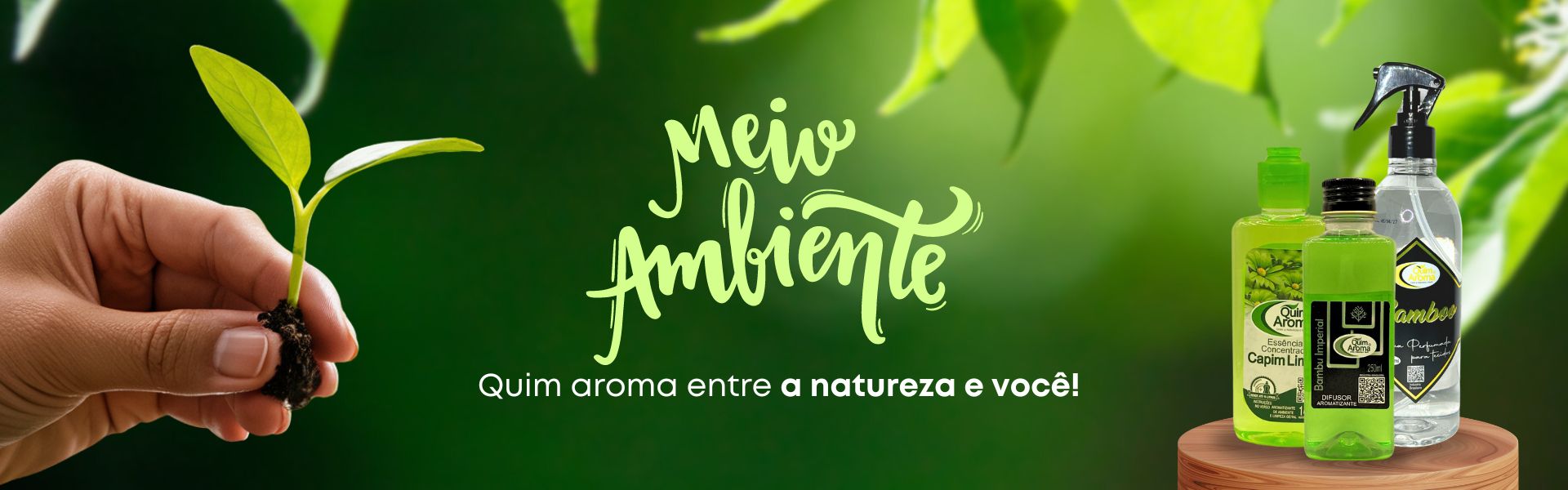 Descrição da imagem