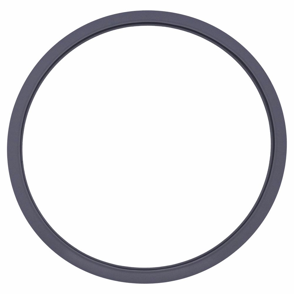 CR-002 - Anel de Vedação Cinza para Autoclave Cris... - DENTAL TIBA