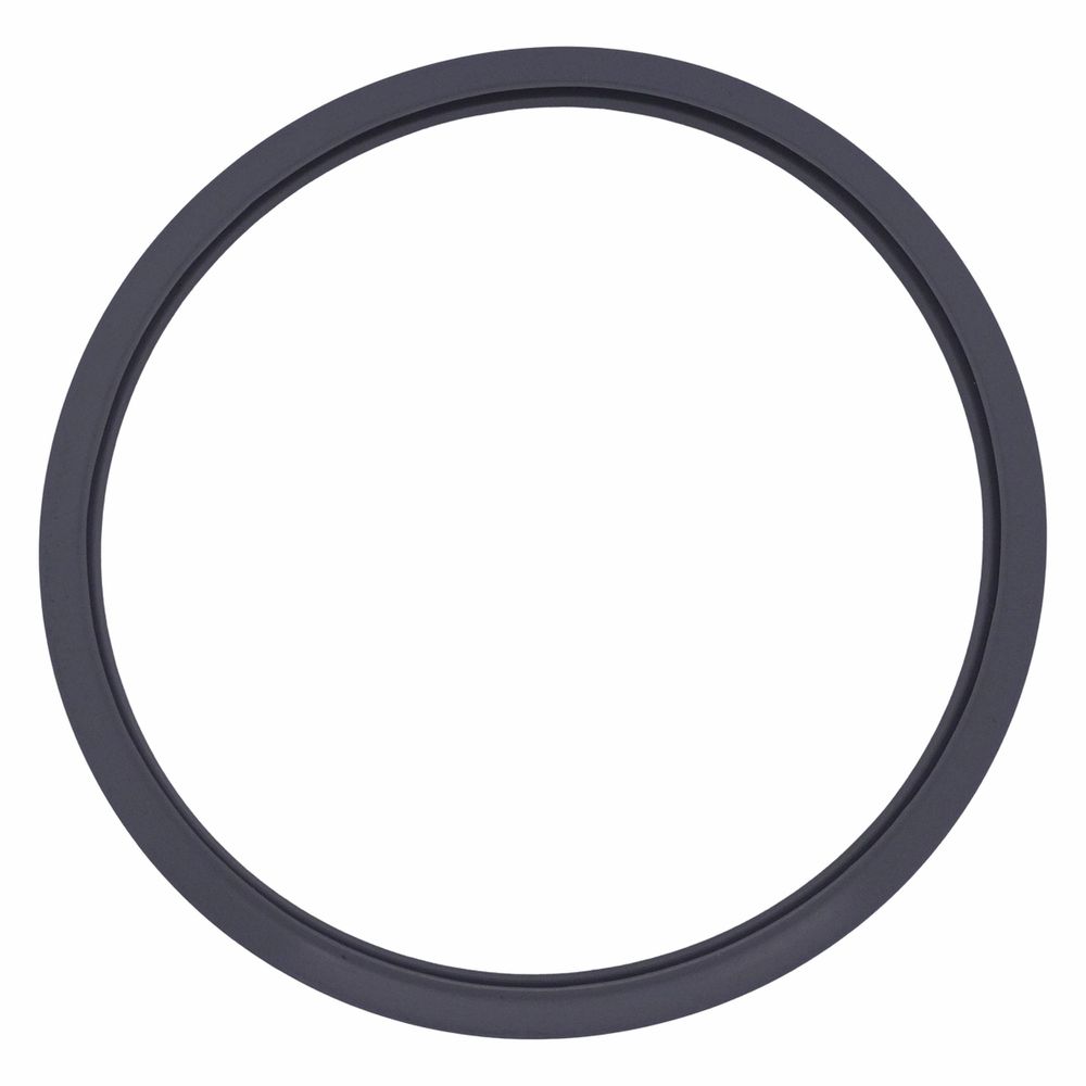 CR-001 - Anel de Vedação Cinza para Autoclave Cris... - DENTAL TIBA