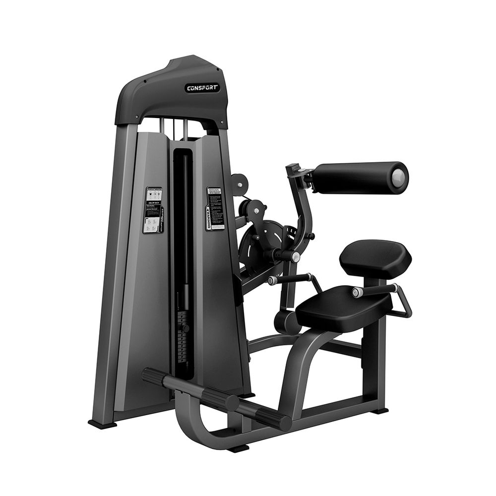 Máquina para Academia Abdominal Lombar Flexora Musculação Equipamento Profissional - Consport - Linha CS-F