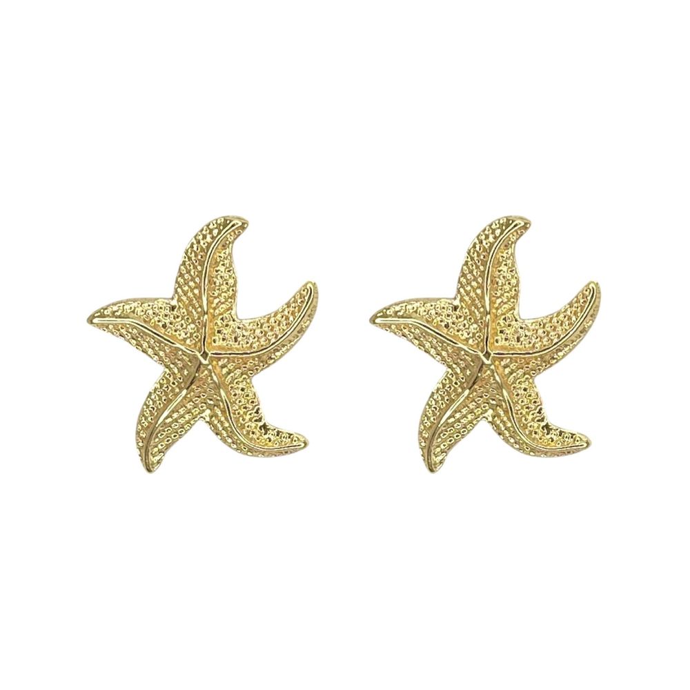 Brinco Estrela Do Mar Banhado A Ouro 18K - 0000000... - RC JOIAS BY RUDI