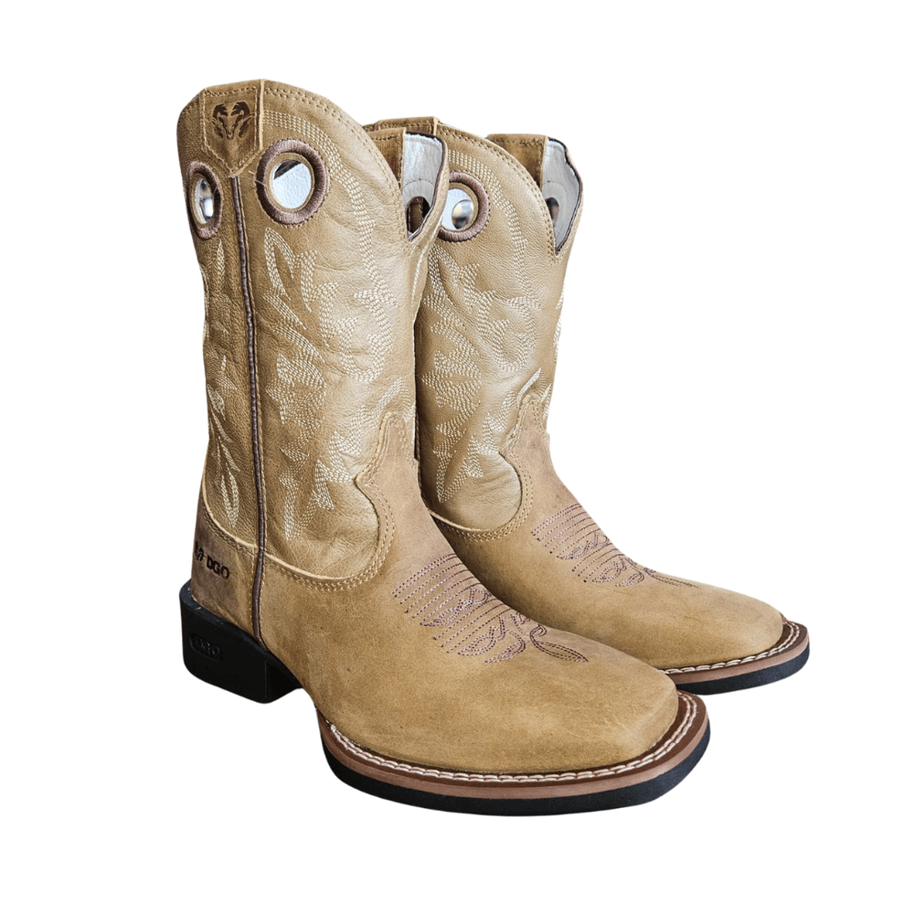 BOTA DGO 120116 G2P