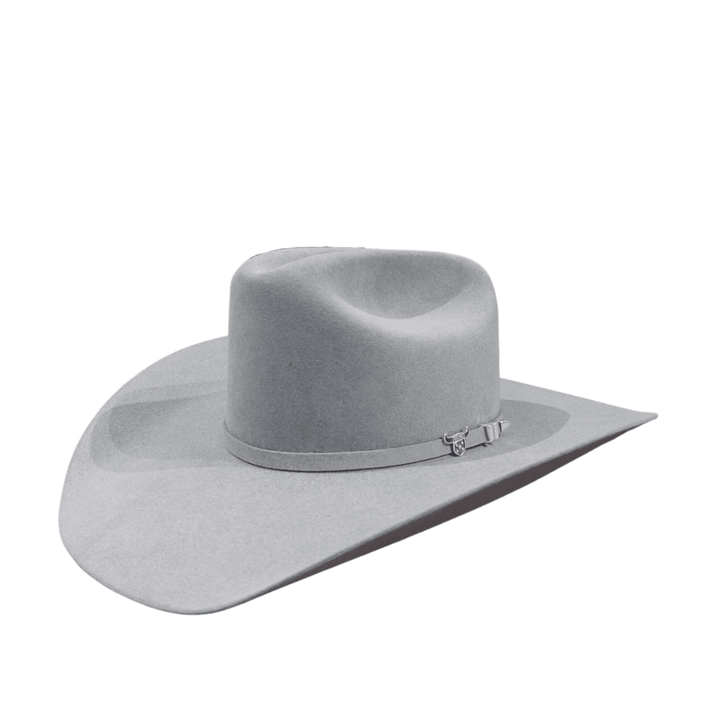 CHAPEU RESISTOL USTRC 6X PELO CASTOR STONE