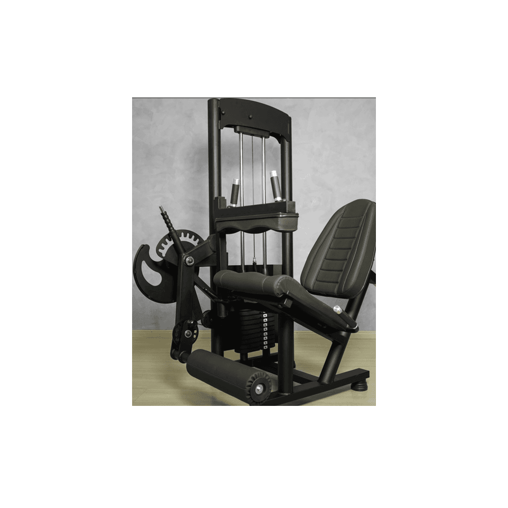 Cadeira Extensora e Flexora Máquina 80kg - Nacional