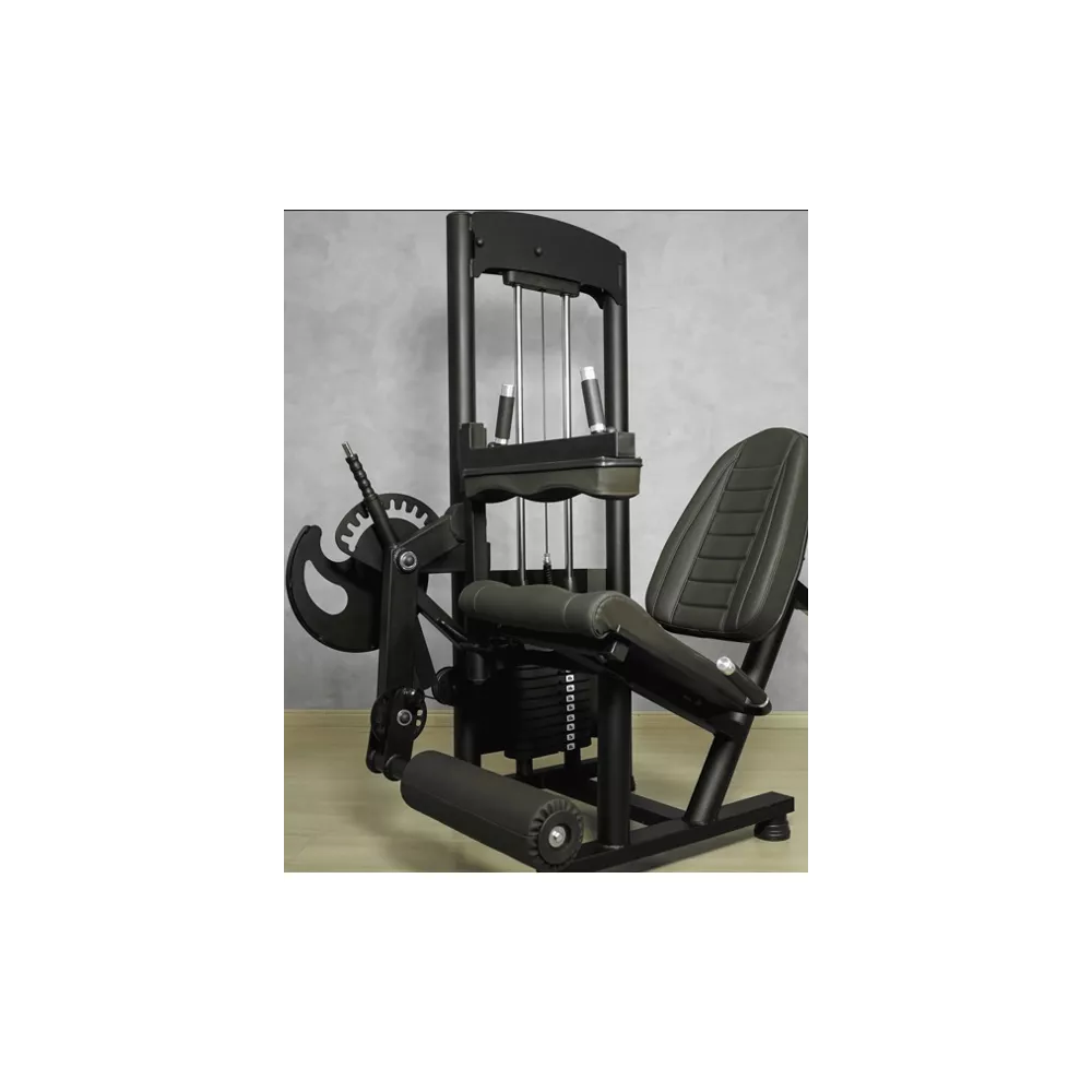 Cadeira Extensora e Flexora Máquina 80kg - Nacional