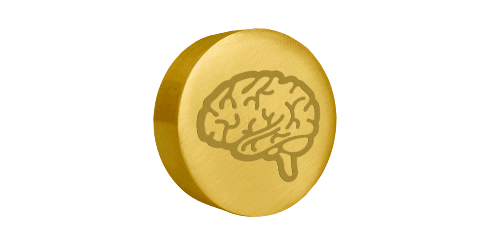Sinete Clichê para Biscoito Cerebro - Gravbem Carimbos Clichês, Matrizes e Acessórios