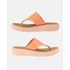 Chinelo Antúrio - Apricot