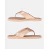 Chinelo Estrelícia - Champagne