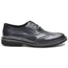 Sapato Masculino Oxford Brogue Wing Black