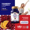 Cranberry 500mg + Vitamina C Vitgold Kit 2x 60 cápsulas