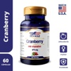 Cranberry 475 mg Vitgold com 60 cápsulas
