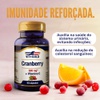 Cranberry 500 mg com Vitamina C Vitgold 60 cápsulas