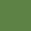 VERDE SALSA