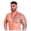 Arreio Harness Anthony (EX208-EX207) - Vermelho