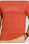 CAMISETA MINIMAL C/ ESTAMPA
