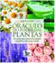  Cartas Livro: Oráculo do poder das plantas