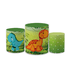 Trio Capas de Cilindros Sublimados Decorativo Tema Dino Decoração Festa Infantil Dinossauro