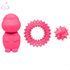 Kit Brinquedos Porte Pequeno Tartaruga Anel Bola Cravo - Big Bull Pet