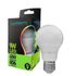 Lâmpada Led Bulbo 9w 4000k Luz Neutra Bivolt