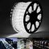 Mangueira Led Redonda 11mm Branco Frio 6500k 100m 220v C/ Conector