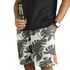 Beermuda Folhas