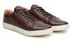 Sapatênis Casual Masculino CNS Brown