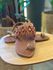 Rasteira CS Shoes Cris Café 