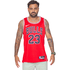 Regata Chicago Bulls Jordan Icon Edition