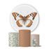 Kit Painel Cilindro Tema Borboletas 8