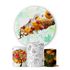 Trio Capas Cilindros + Painel Veste Fácil Salada de Frutas