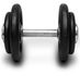 Halter 24kg Dumbell Pegada Recartilhada JFIT