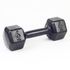 Halter 06kg Sextavado Ferro Pintado